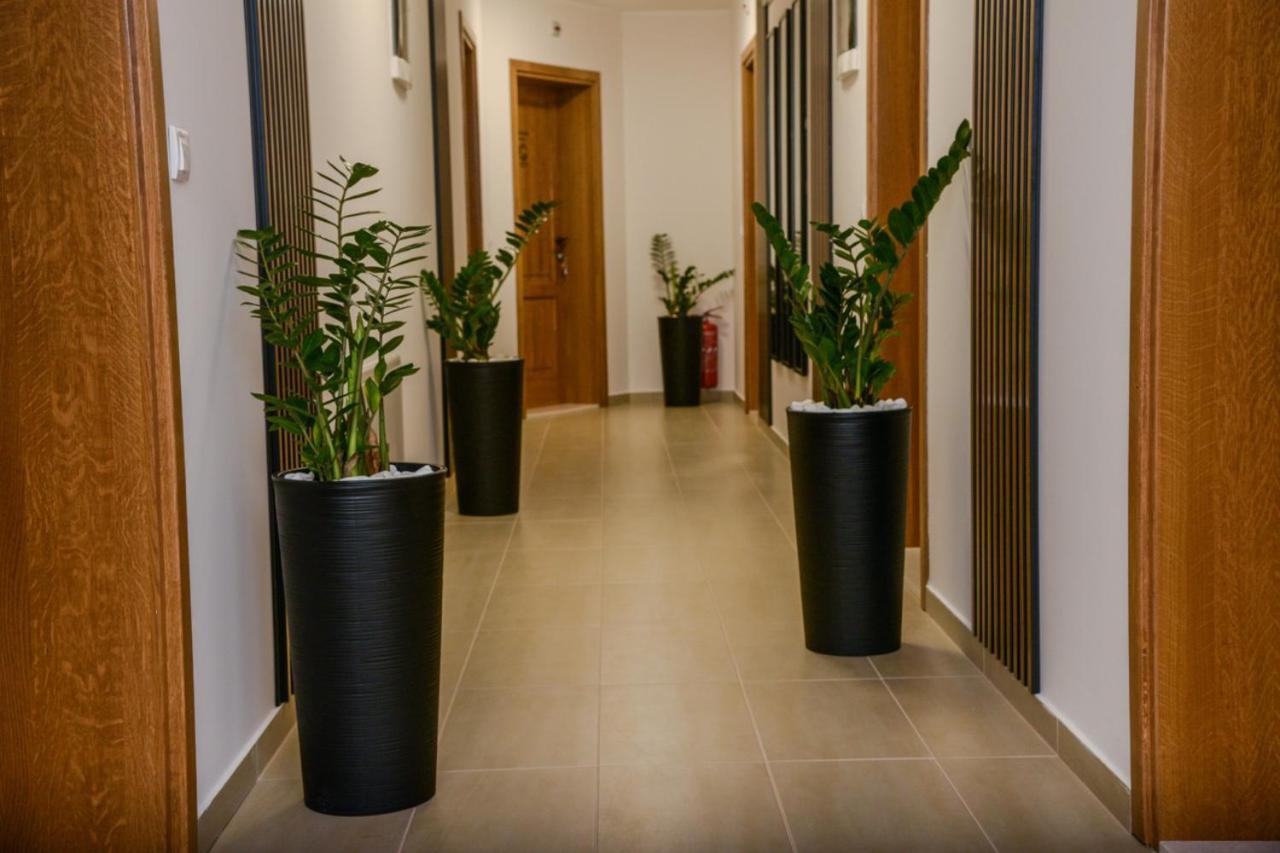 Mini Hotel Riverlux Apartments باتشكا بالانكا المظهر الخارجي الصورة
