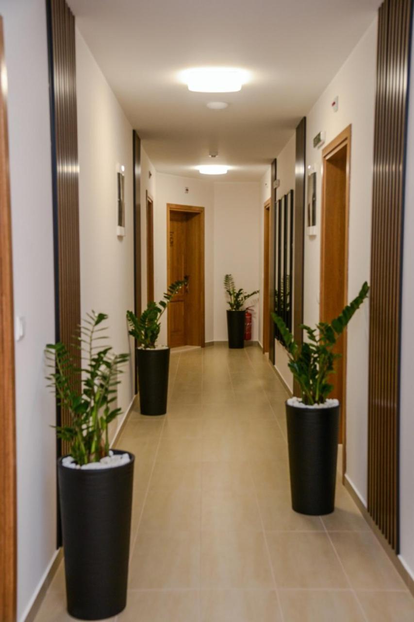 Mini Hotel Riverlux Apartments باتشكا بالانكا المظهر الخارجي الصورة